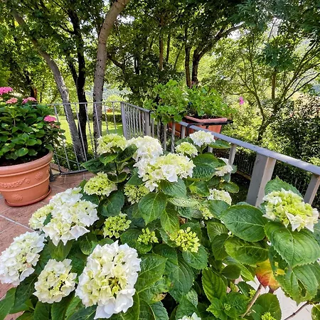 Torretta Sleeps 5 With Pool And Exclusive Gardens Private Verandah Lodge *